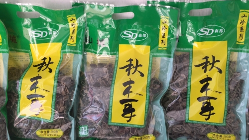 哈爾濱秋木耳